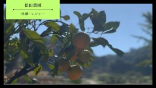 【防府市】松田農園の体験内容・アクセス・料金・営業時間