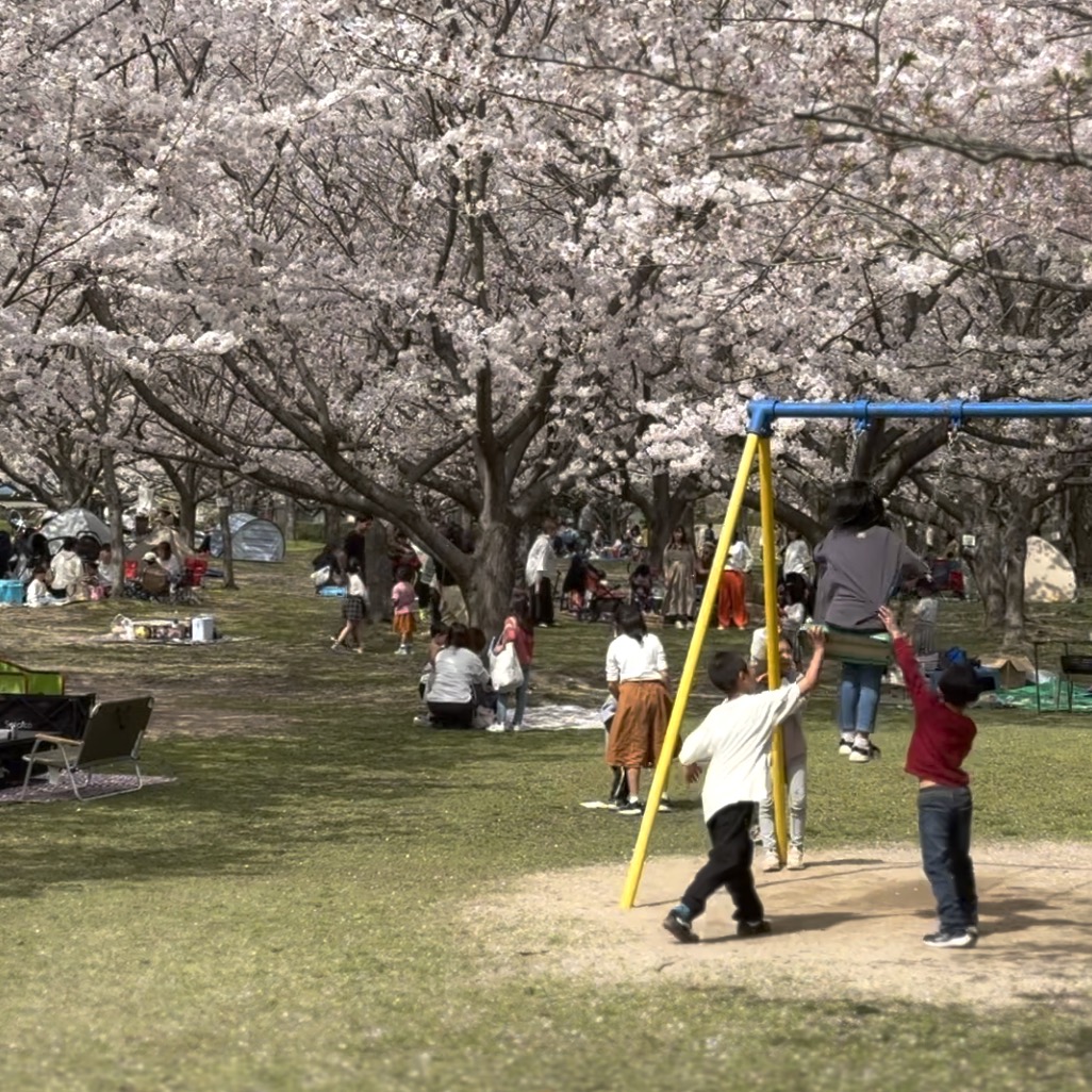 向島運動公園3