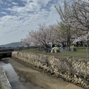 向島運動公園2