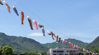 【防府市】佐波川こいわたしの開催期間・開催場所・見どころ