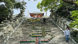 【防府天満宮】花回廊（春の幸せますフェスタ）の開催期間・開催場所・見どころ