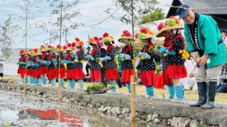 【防府市】右田お田植え祭の開催期間・開催場所・見どころ