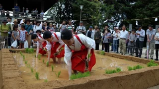 【防府天満宮】御田植祭、夏越神事、大祓式の開催期間・開催場所・見どころ