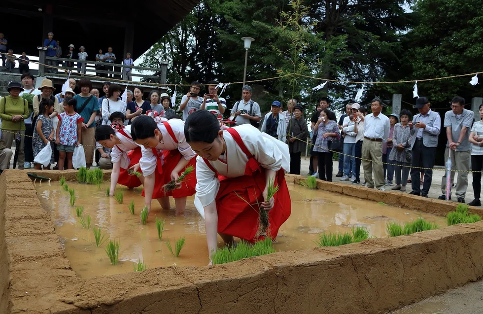 御田植祭3