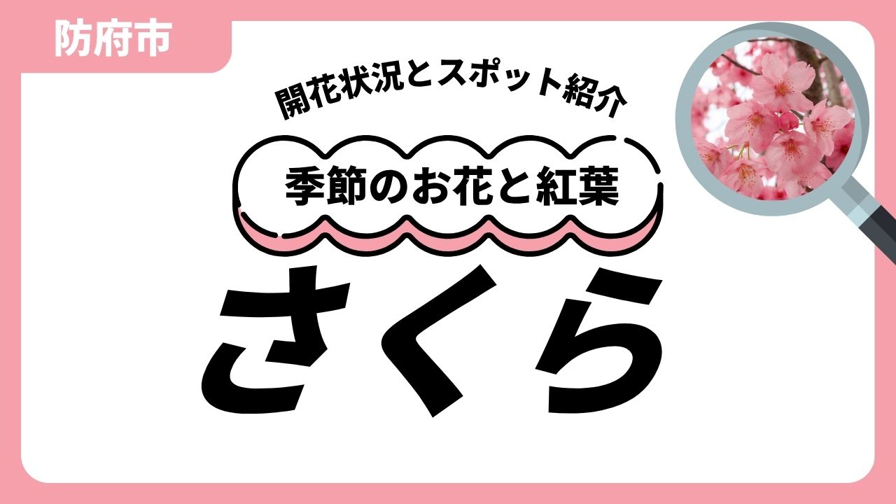 「防府」さくらのスポットと開花状況のサムネイル.jpg