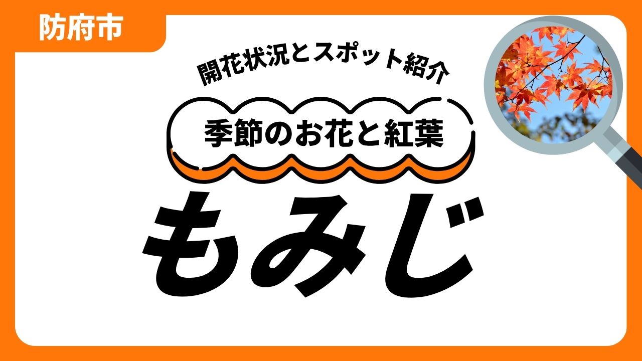 「防府」もみじのスポットと開花状況のサムネイル