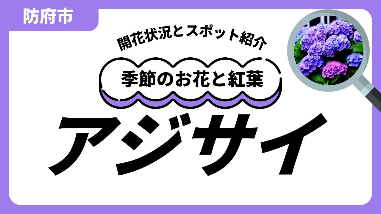 「防府」アジサイのスポットと開花状況のサムネイル