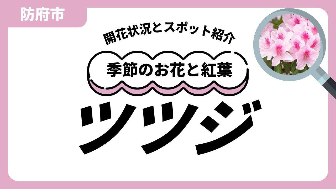 「防府」ツツジのスポットと開花状況のサムネイル