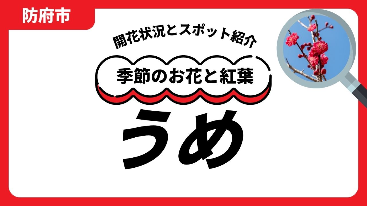 「防府」梅のスポットと開花状況のサムネイル