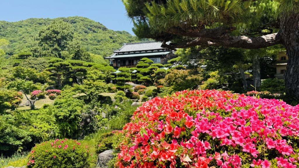 毛利氏庭園_サツキ